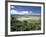 World Famous Ngorongoro Crater, 102-Sq Mile Crater Floor Is Wonderful Wildlife Spectacle, Tanzania-Nigel Pavitt-Framed Photographic Print