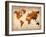 World  Map 7-NaxArt-Framed Art Print