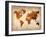 World  Map 7-NaxArt-Framed Art Print