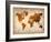 World  Map 7-NaxArt-Framed Art Print