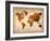 World  Map 7-NaxArt-Framed Art Print