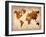 World  Map 7-NaxArt-Framed Art Print