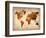 World  Map 7-NaxArt-Framed Art Print