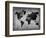 World  Map 8-NaxArt-Framed Art Print