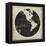 World News I-Elizabeth Medley-Framed Stretched Canvas