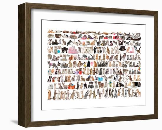 World of Cats-null-Framed Art Print