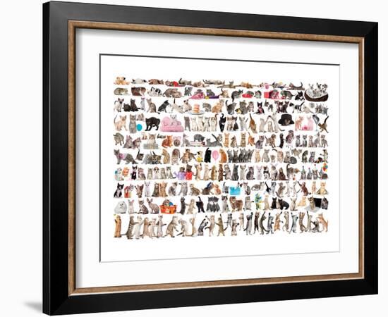 World of Cats-null-Framed Art Print