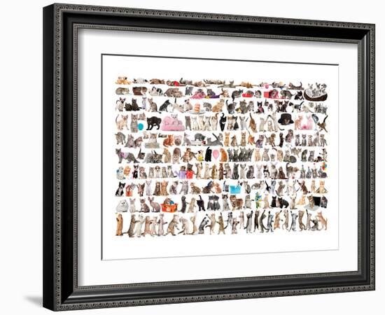 World of Cats-null-Framed Art Print