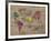 World of Colours - Vintage-Sandra Jacobs-Framed Art Print