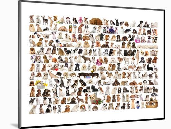 World of Dogs-null-Mounted Art Print