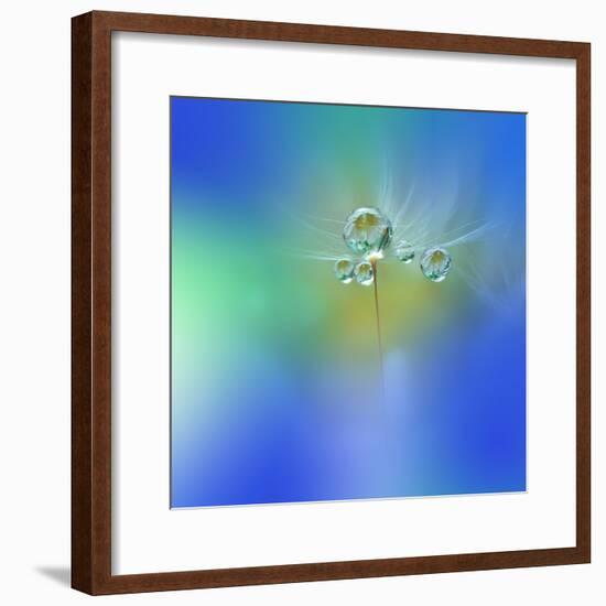 World of Drops-Juliana Nan-Framed Photographic Print