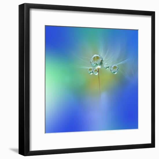 World of Drops-Juliana Nan-Framed Photographic Print