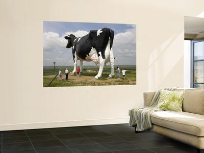 World S Largest Holstein Cow Wall Mural By Richard Cummins Art Com