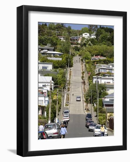 World's Steepest Street, Baldwin Street, Dunedin, Otago, South Island, New Zealand, Pacific-Michael Snell-Framed Photographic Print