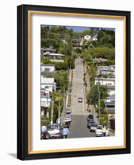 World's Steepest Street, Baldwin Street, Dunedin, Otago, South Island, New Zealand, Pacific-Michael Snell-Framed Photographic Print