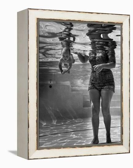 World's Youngest Swimmer Julie Sheldon, 9 Weeks Old, Swimming Underwater-Ed Clark-Framed Premier Image Canvas