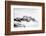 World So Cold-Philippe Sainte-Laudy-Framed Photographic Print