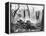 World War I: Battlefield-null-Framed Premier Image Canvas