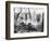 World War I: Battlefield-null-Framed Photographic Print