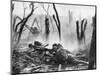 World War I: Battlefield-null-Mounted Photographic Print