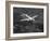 World War II B-17 "Flying Fortress", "Sally B" in Flight After Blow Out, July 1983-null-Framed Photographic Print