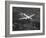 World War II B-17 "Flying Fortress", "Sally B" in Flight After Blow Out, July 1983-null-Framed Photographic Print