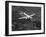 World War II B-17 "Flying Fortress", "Sally B" in Flight After Blow Out, July 1983-null-Framed Photographic Print