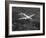 World War II B-17 "Flying Fortress", "Sally B" in Flight After Blow Out, July 1983-null-Framed Photographic Print