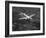 World War II B-17 "Flying Fortress", "Sally B" in Flight After Blow Out, July 1983-null-Framed Photographic Print