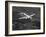 World War II B-17 "Flying Fortress", "Sally B" in Flight After Blow Out, July 1983-null-Framed Photographic Print