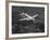 World War II B-17 "Flying Fortress", "Sally B" in Flight After Blow Out, July 1983-null-Framed Photographic Print