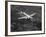 World War II B-17 "Flying Fortress", "Sally B" in Flight After Blow Out, July 1983-null-Framed Photographic Print