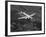 World War II B-17 "Flying Fortress", "Sally B" in Flight After Blow Out, July 1983-null-Framed Photographic Print