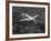 World War II B-17 "Flying Fortress", "Sally B" in Flight After Blow Out, July 1983-null-Framed Photographic Print