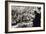 World War II. Dresden Destroyed by Bombing-null-Framed Giclee Print