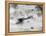 World War One Aircraft, 1916-17-English Photographer-Framed Premier Image Canvas