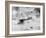 World War One Aircraft, 1916-17-English Photographer-Framed Photographic Print