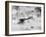 World War One Aircraft, 1916-17-English Photographer-Framed Photographic Print