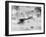 World War One Aircraft, 1916-17-English Photographer-Framed Photographic Print