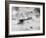 World War One Aircraft, 1916-17-English Photographer-Framed Photographic Print