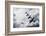 World War Two British Vintage Flight Formation-Veneratio-Framed Photographic Print