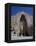 Worlds Largest Standing Buddha, Bamiyan, Afghanistan-Steve Vidler-Framed Premier Image Canvas