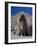 Worlds Largest Standing Buddha, Bamiyan, Afghanistan-Steve Vidler-Framed Photographic Print