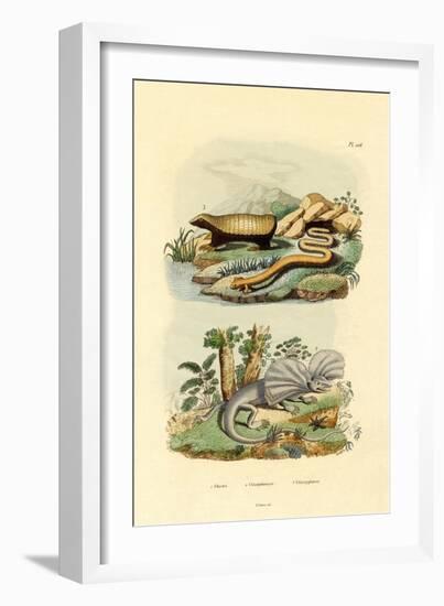 Worm Lizard, 1833-39-null-Framed Giclee Print