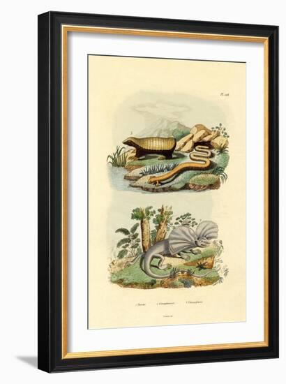 Worm Lizard, 1833-39-null-Framed Giclee Print