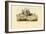 Worm Snails, 1863-79-Raimundo Petraroja-Framed Giclee Print