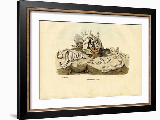 Worm Snails, 1863-79-Raimundo Petraroja-Framed Giclee Print