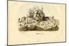 Worm Snails, 1863-79-Raimundo Petraroja-Mounted Giclee Print