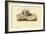 Worm Snails, 1863-79-Raimundo Petraroja-Framed Giclee Print