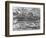 Worm Wood, California, c. 1937-Brett Weston-Framed Photographic Print